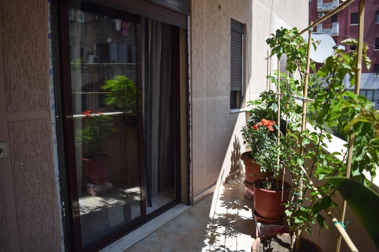 New Apartment Zoe Shkodër 외부 사진